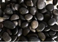 Black Polished Pebbles